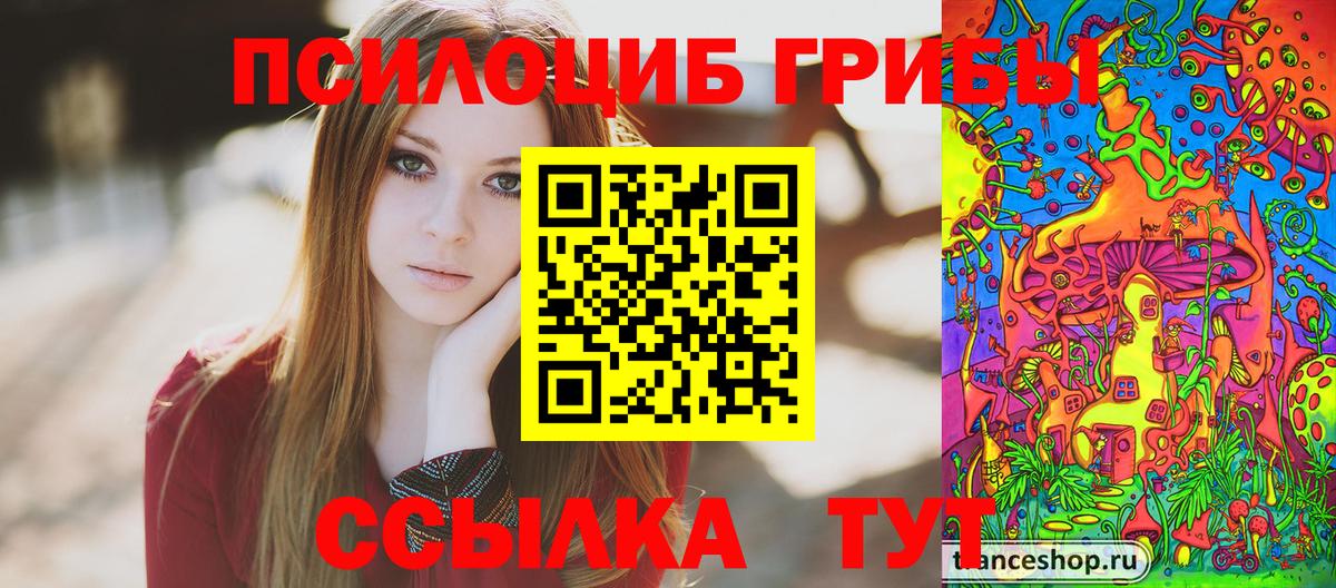 Уфа  Псилоцибиновые грибы Psilocybine cubensis  Вход с VPN 